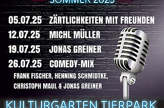 Plakatmotiv Comedy Sommer 2025