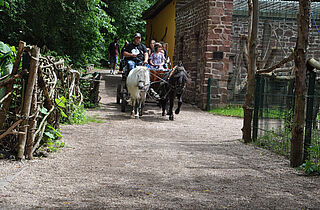 Kindertag im Tierpark (c)B.Schwarz
