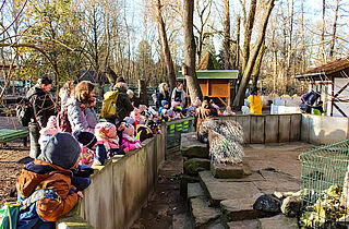 PM 80-2025 alle Kindergärten bei der Schaufütterung ©KTS