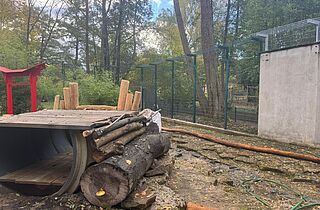 Umbauarbeiten ehem. Bärenanlage_Neue Tigeranlage (c)Tierpark Gotha