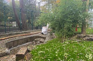 Umbauarbeiten ehem. Bärenanlage_Neue Tigeranlage (c)Tierpark Gotha