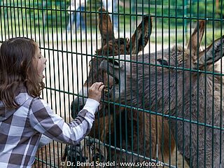Tierisch tolle Herbstferien (c)B. Seydel