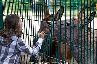 Tierisch tolle Herbstferien (c)B. Seydel