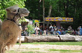 Kindertag im Tierpark (c)B.Schwarz