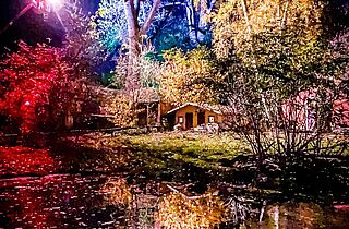 Illumination im Tierpark