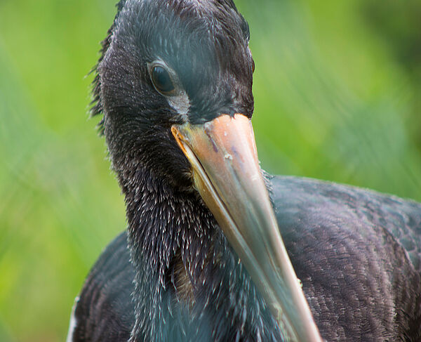 Tierpark