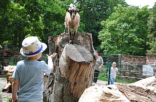 Kindertag im Tierpark (c)B.Schwarz