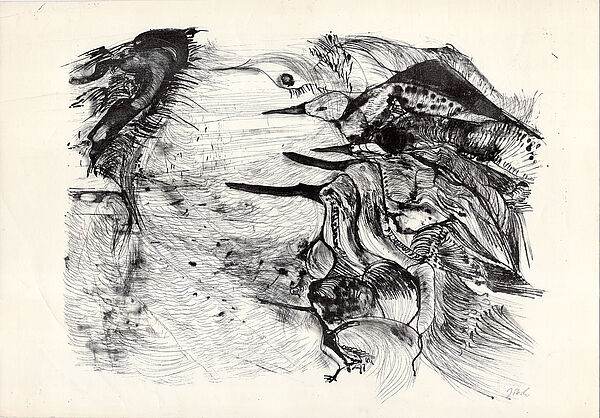 Jula Dech, Angriff der Gefiederten, Lithographie